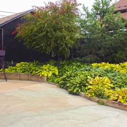 Подпорные стенки в дизайне сада оформлены цветниками